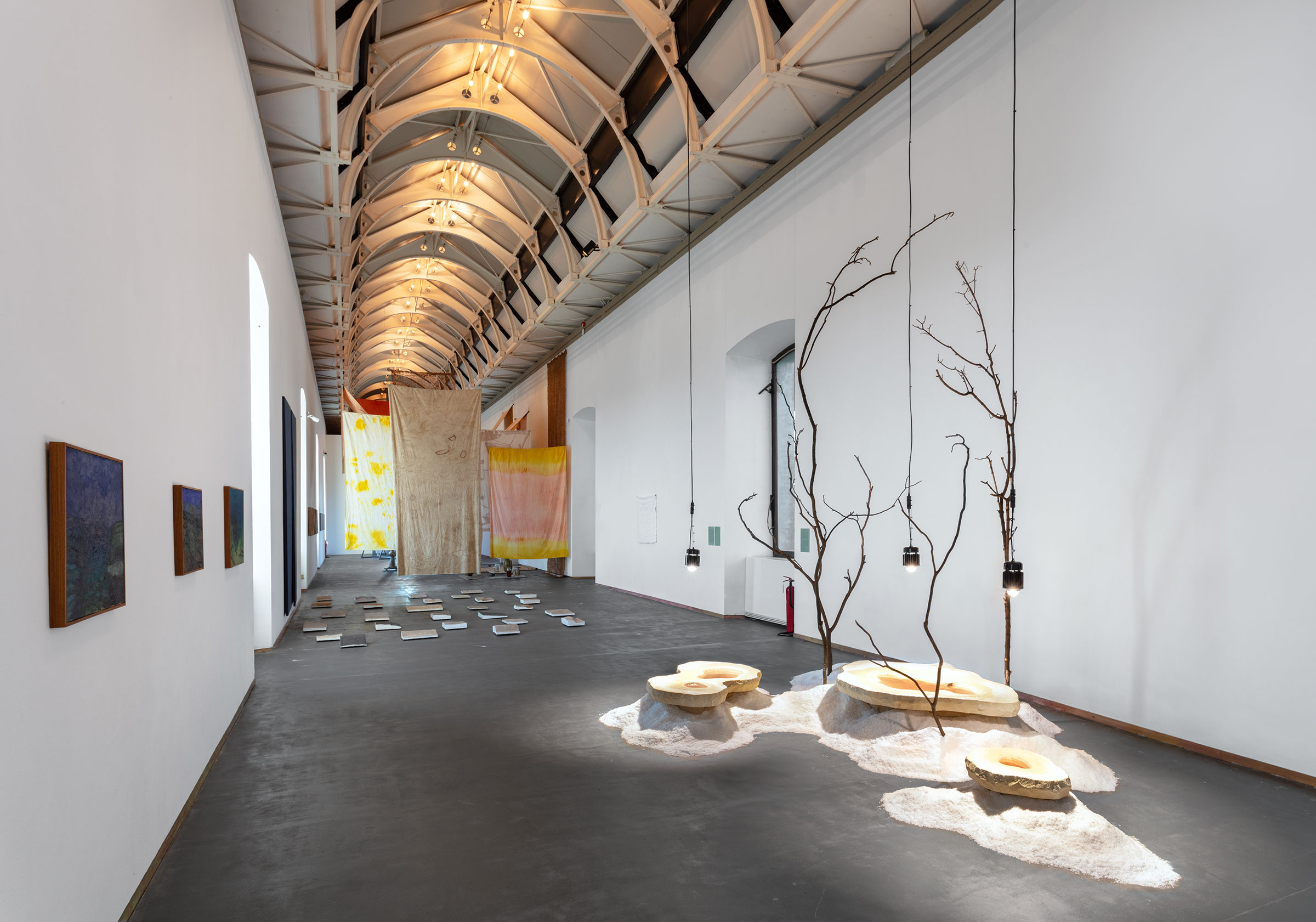u0022Mutual Aid. Arte in collaborazione con la natura / Art in Collaboration with Natureu0022, installation view